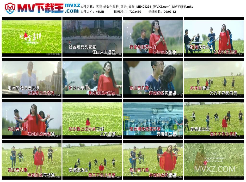 雪菲-好命全靠拼_国语_流行_ME401221